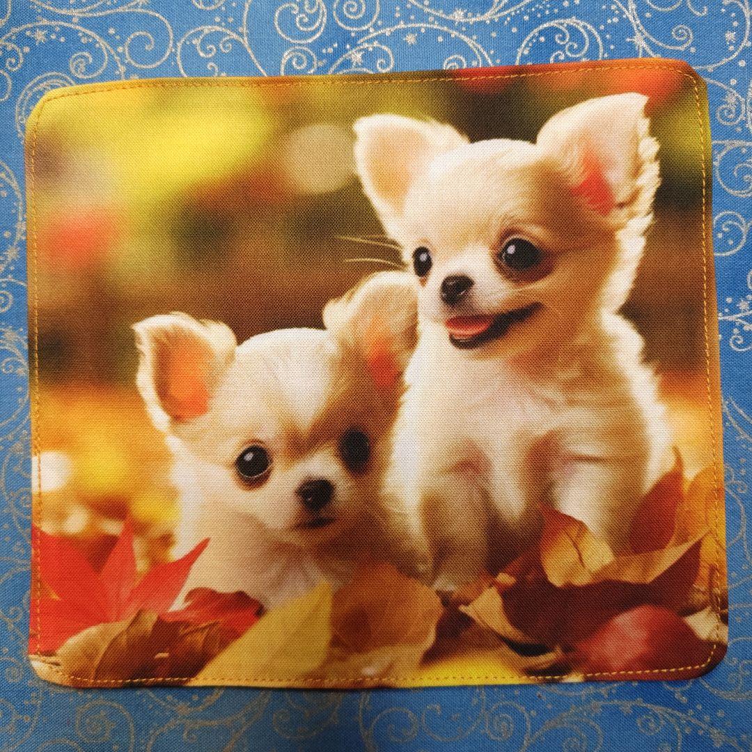 ★CHIYO★　ハンカチ　女の子&ワンコさん柄　20枚