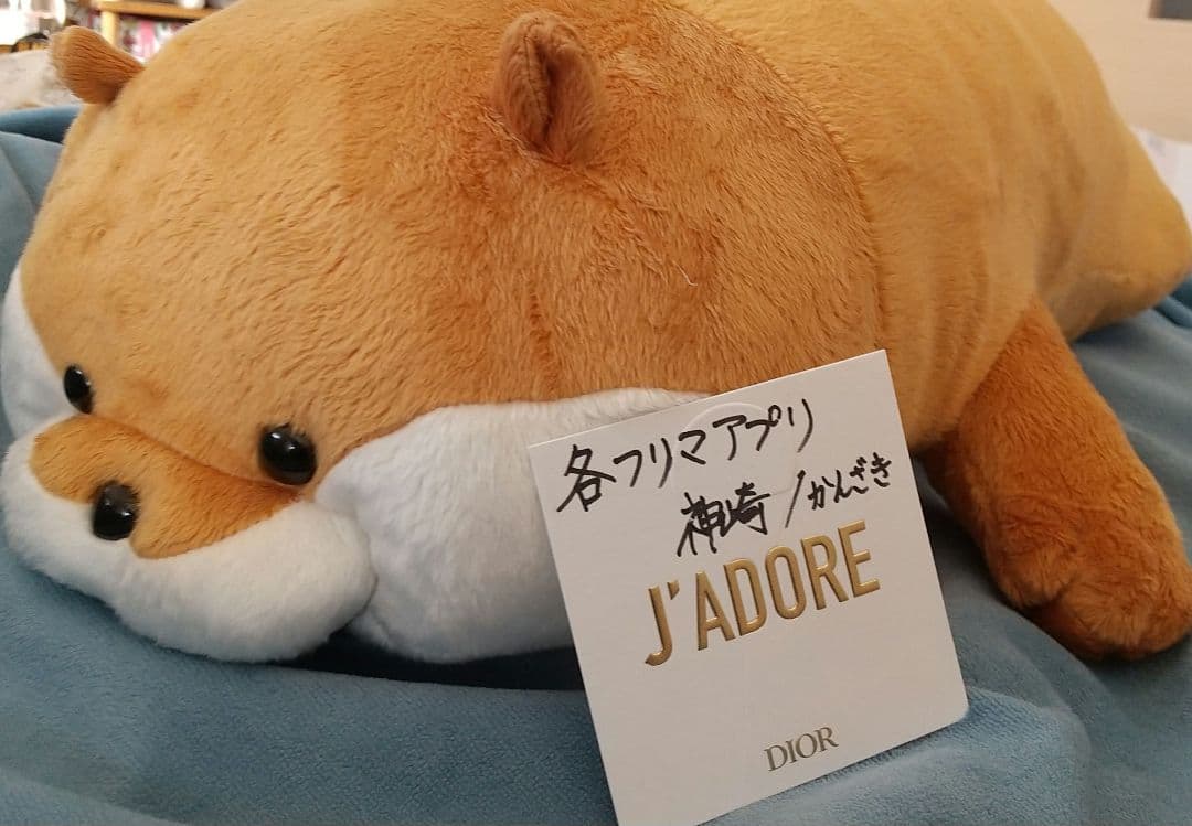 【非売品】可愛い嘘のカワウソぬいぐるみくじ特等/特賞