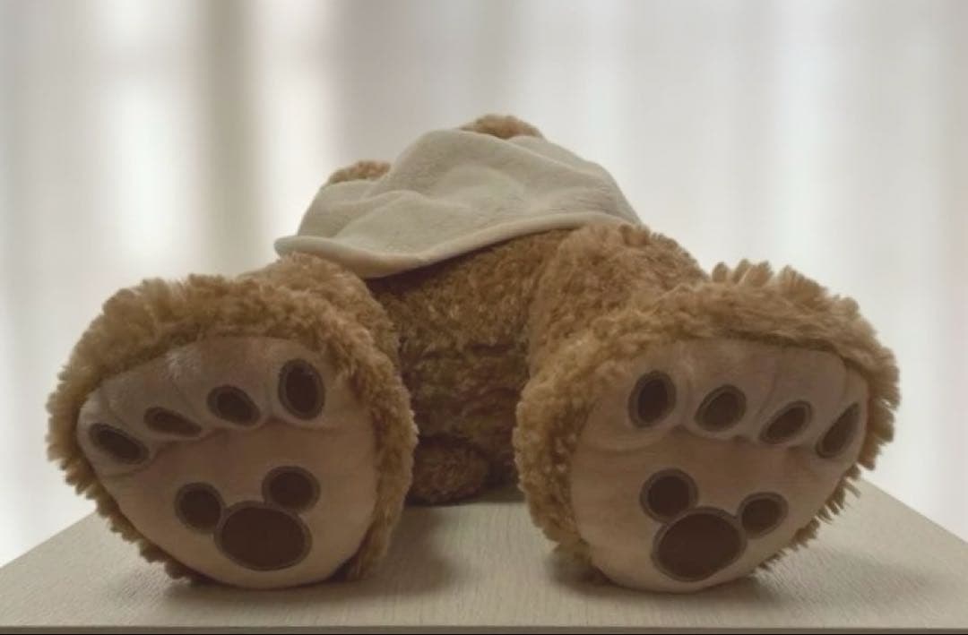 【美品】＊ダッフィ✨クニャクニャぬいぐるみ＊