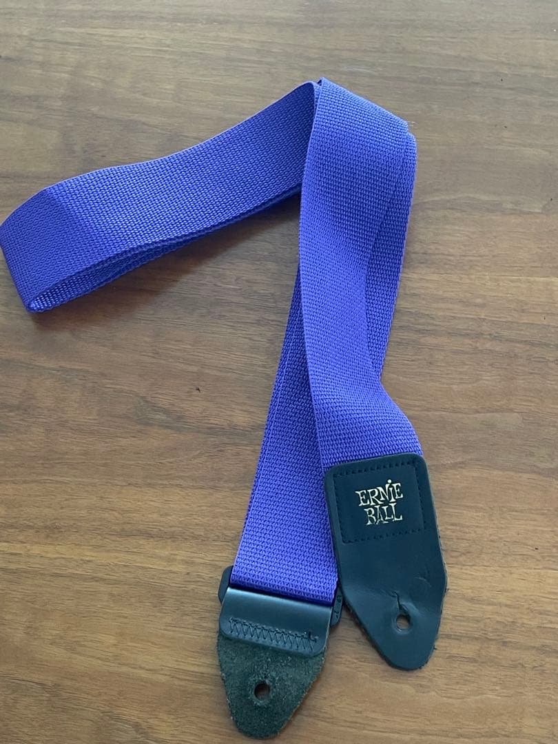 神聖かまってちゃん の子モデル ジャグマスター