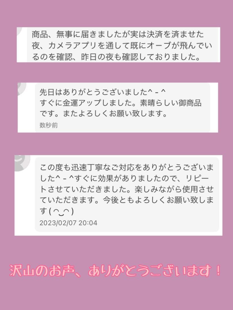 龍神様が宿る 願望実現 巨額の富 健康 厄除け 愛情 全てを受け取る！ペンダント