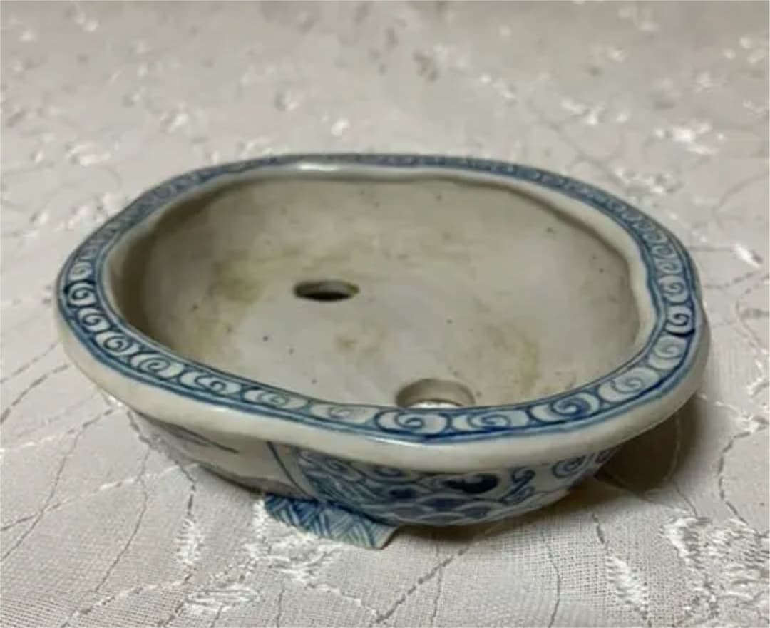 嵐山　盆栽鉢