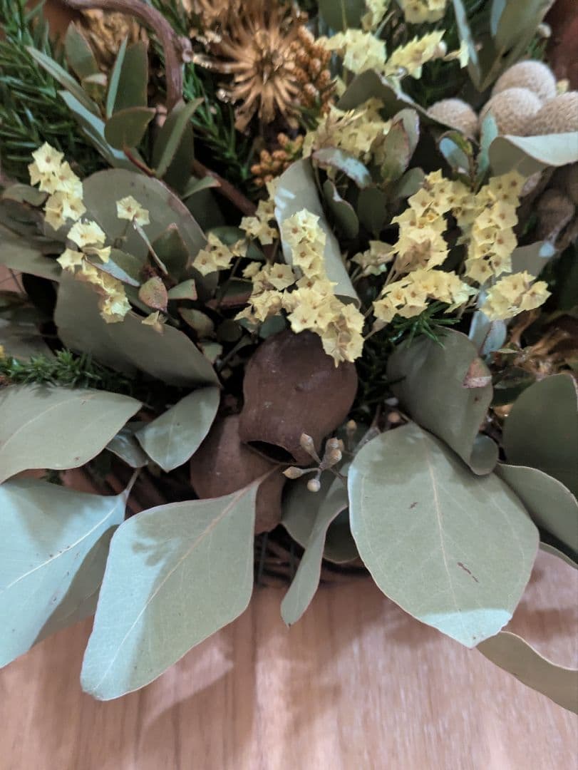 特価！ドライフラワー★プロテア、ココニシア壁掛けアレンジメント★インテリア