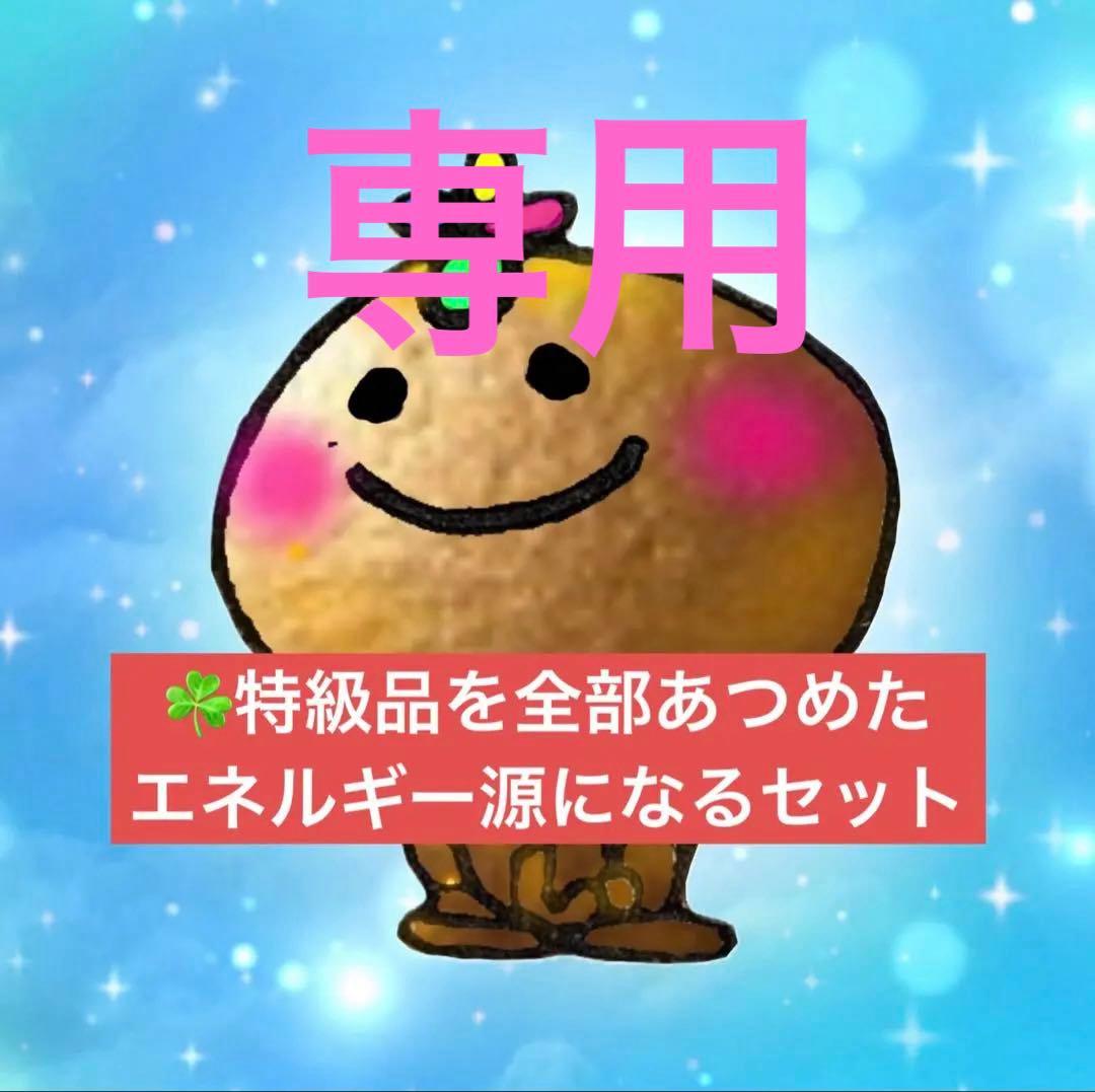 ☘️特級品を全部あつめた エネルギー源になるセット