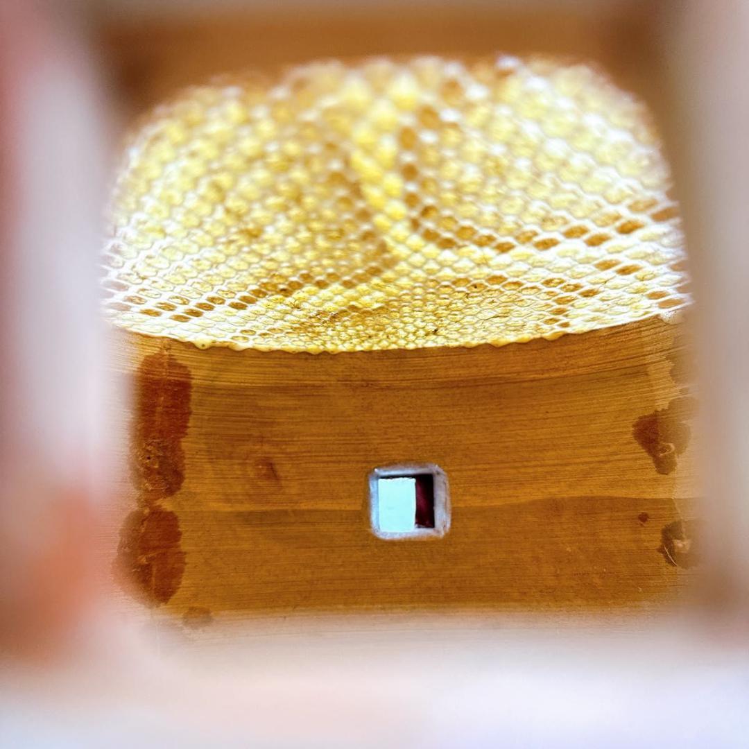 宮古木工芸 三線 片面皮張、片面人工皮 ソフトケース