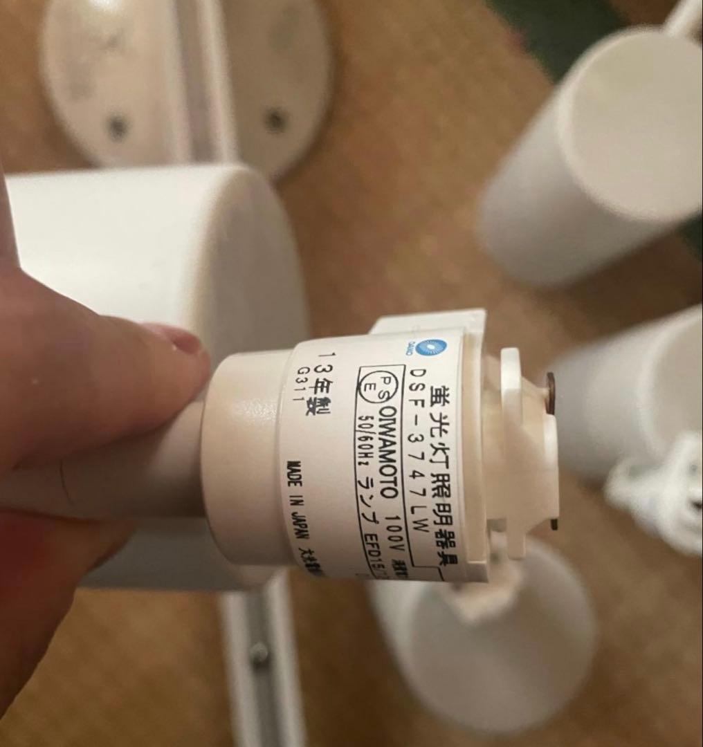 大光電機 簡易取付配線ダクトレール　ライトセット