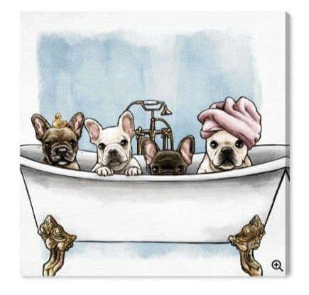 【新品 】オリバーガル Frenchies In The Tub