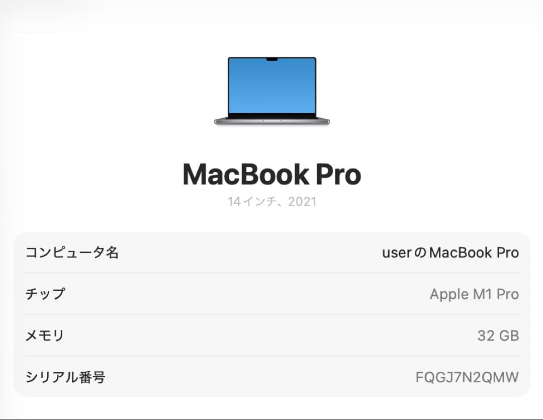 【美品】MacBook Pro (M1 Pro, 14インチ) 1TB 32BG