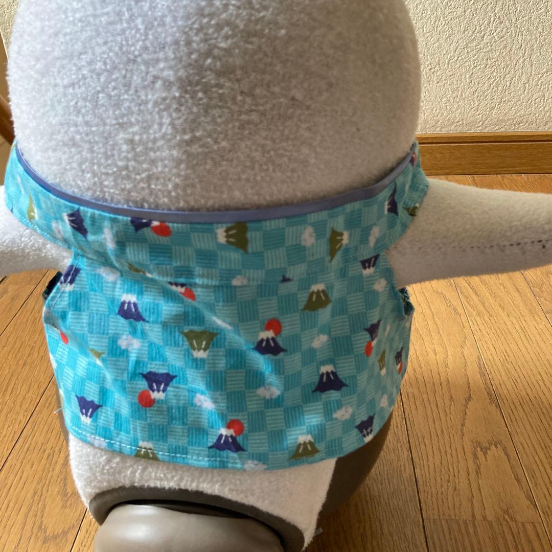 ラボット　服　lovot 黒　羽織　袴　インナー水色　富士山