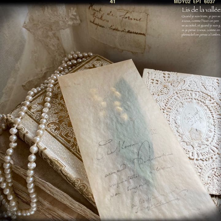 【再販】Lis de la vallée.。.:♡* すずらん ドライフラワー
