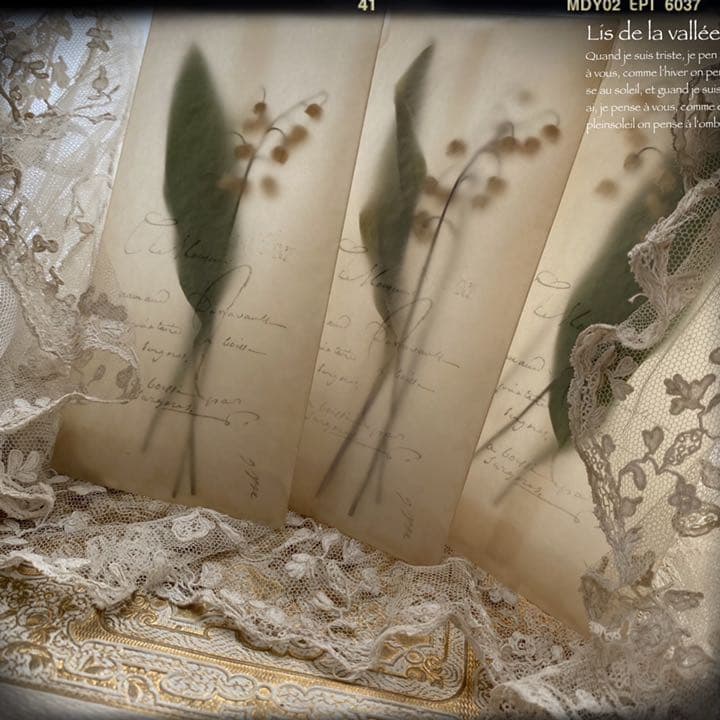 【再販】Lis de la vallée.。.:♡* すずらん ドライフラワー