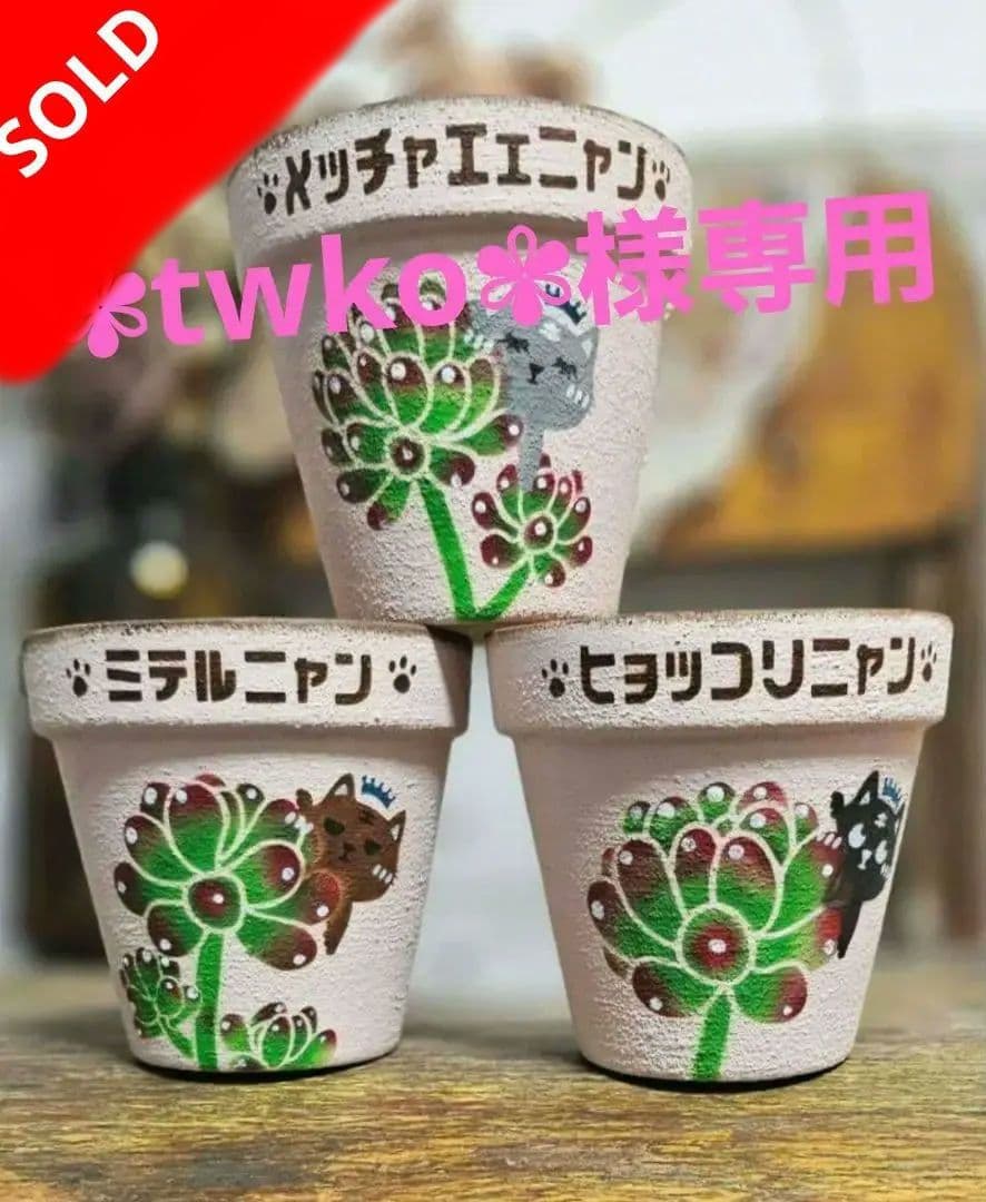 ✾twko✾♪リメイク鉢　リメ鉢　リメイク缶　リメ缶　多肉　虹の玉　乙女心
