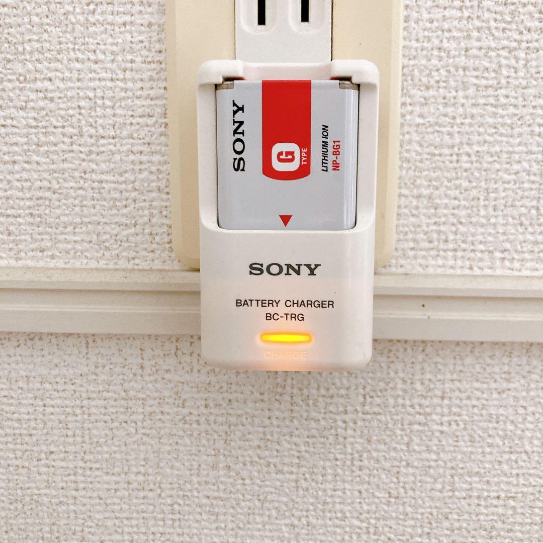 動作確認済み SONY Cyber-Shot DSC-WX1 デジタルカメラ