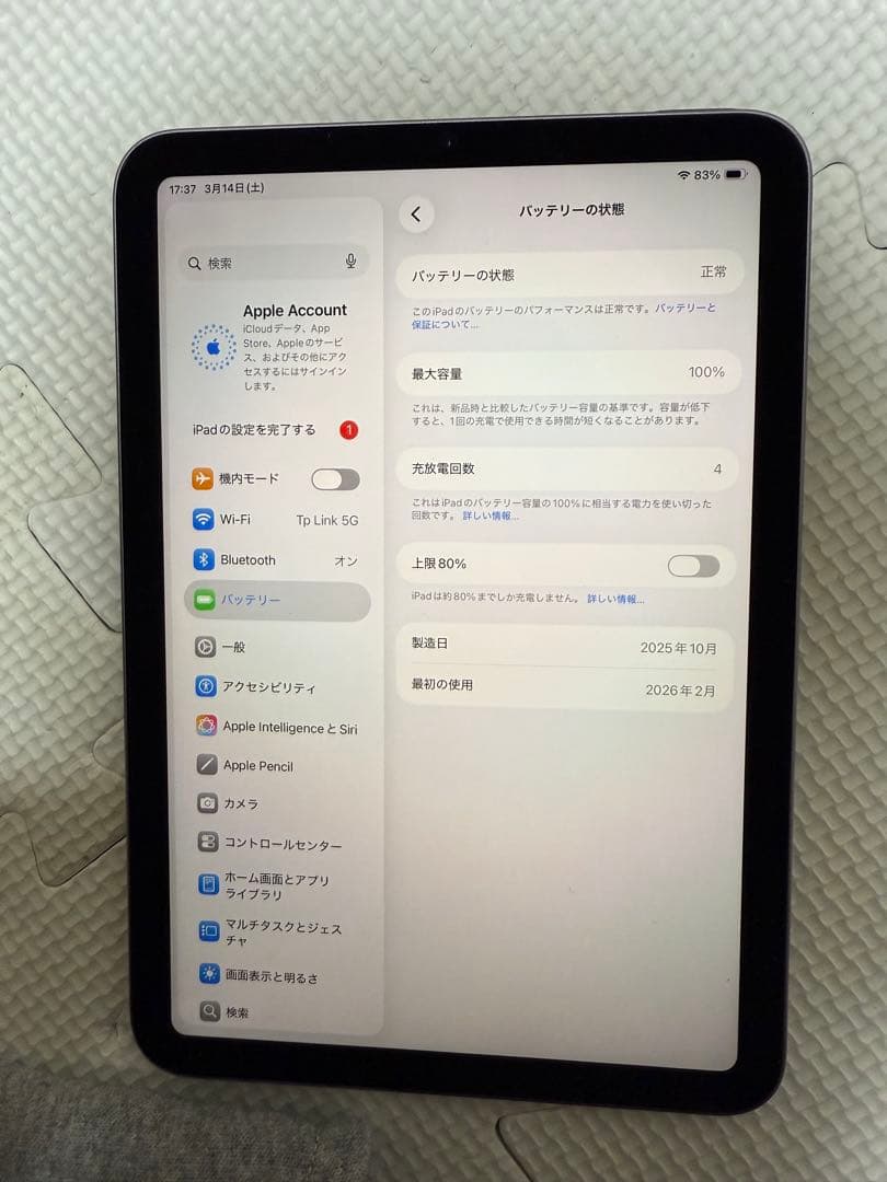 iPad mini (第7世代) A17pro バッテリー100%