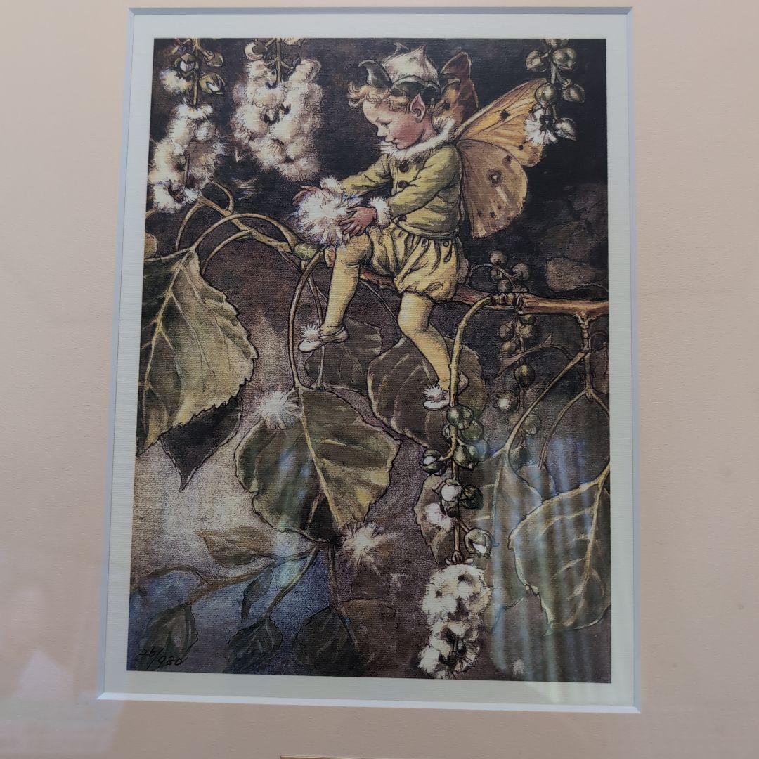 シシリーメアリーハンガー版画 Cicely Mary Barker 版画