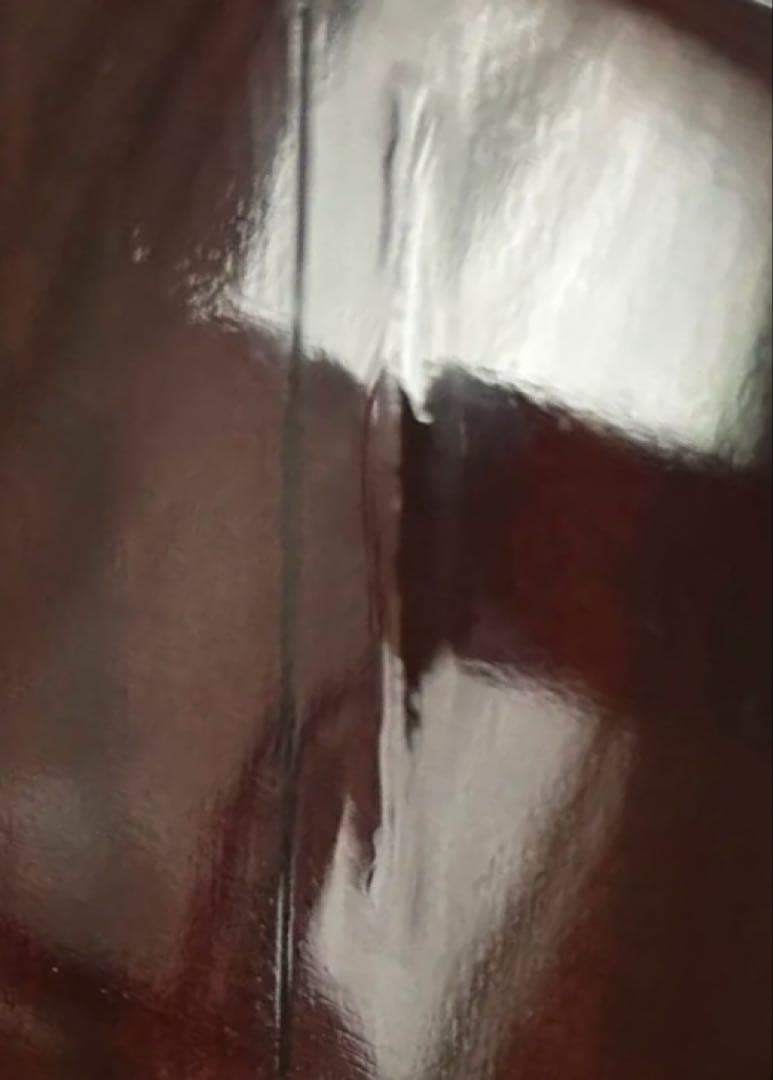 Takamine TSS-06 オール単板　修理有り