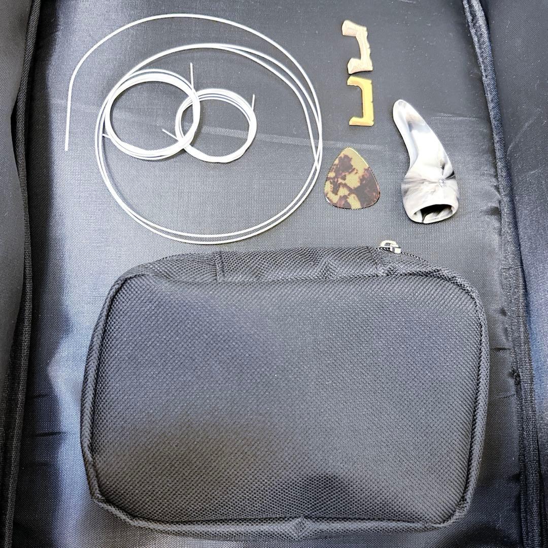 沖縄三線 ソフトケース 爪 替え弦付き 初心者 入門 弦楽器 和楽器 人工革 蛇