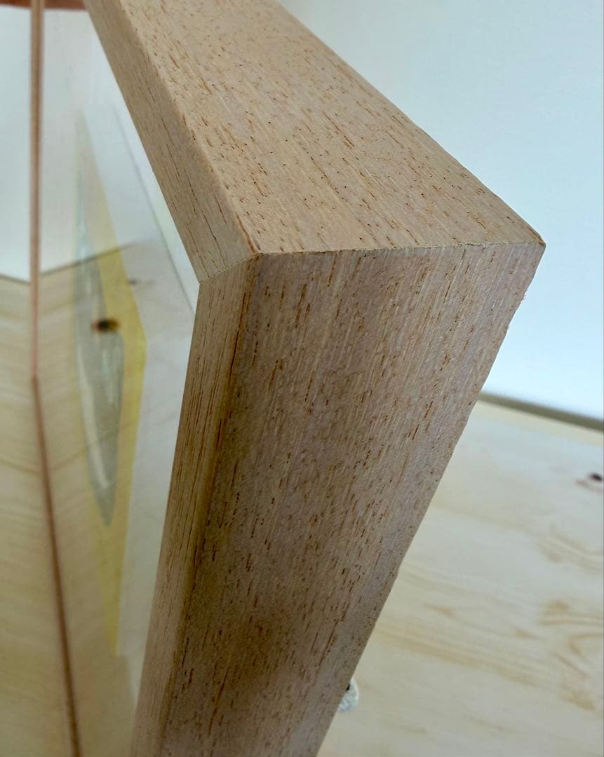 蟹江杏「チェシャネコ登場」ジクレー　限定版 61/100