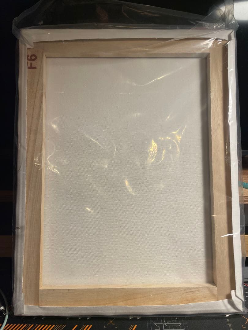 攻殻機動隊 草薙素子 キャンバスアート F6サイズ