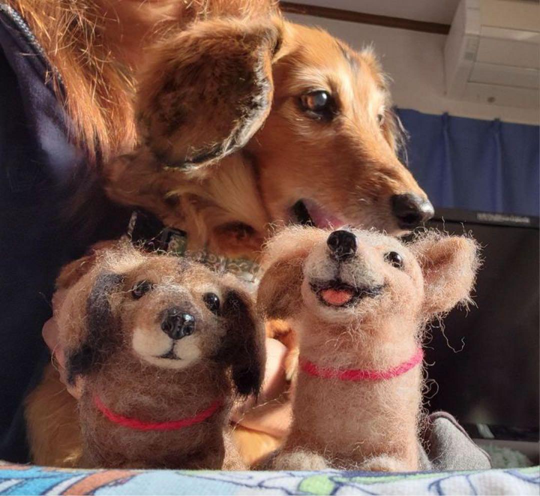 手のひらペット　羊毛フェルト　うちの子オーダー　プレゼント　マスコット　ペット