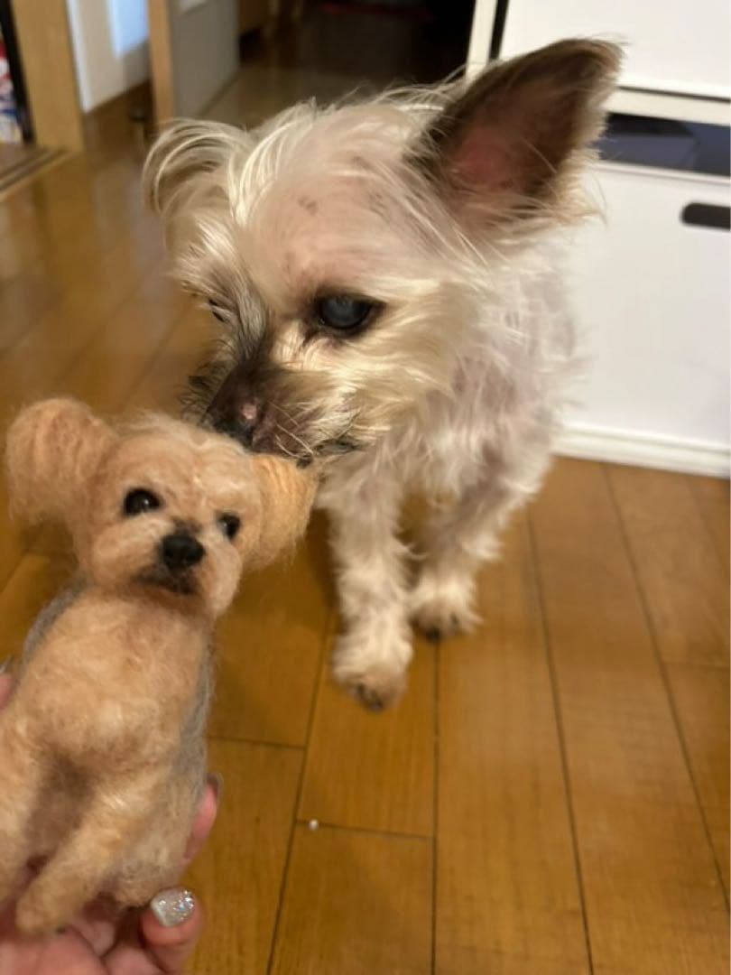 手のひらペット　羊毛フェルト　うちの子オーダー　プレゼント　マスコット　ペット