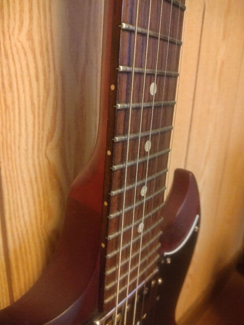 Gibson SGJ 120th ANNIVERSARY バーガンディ