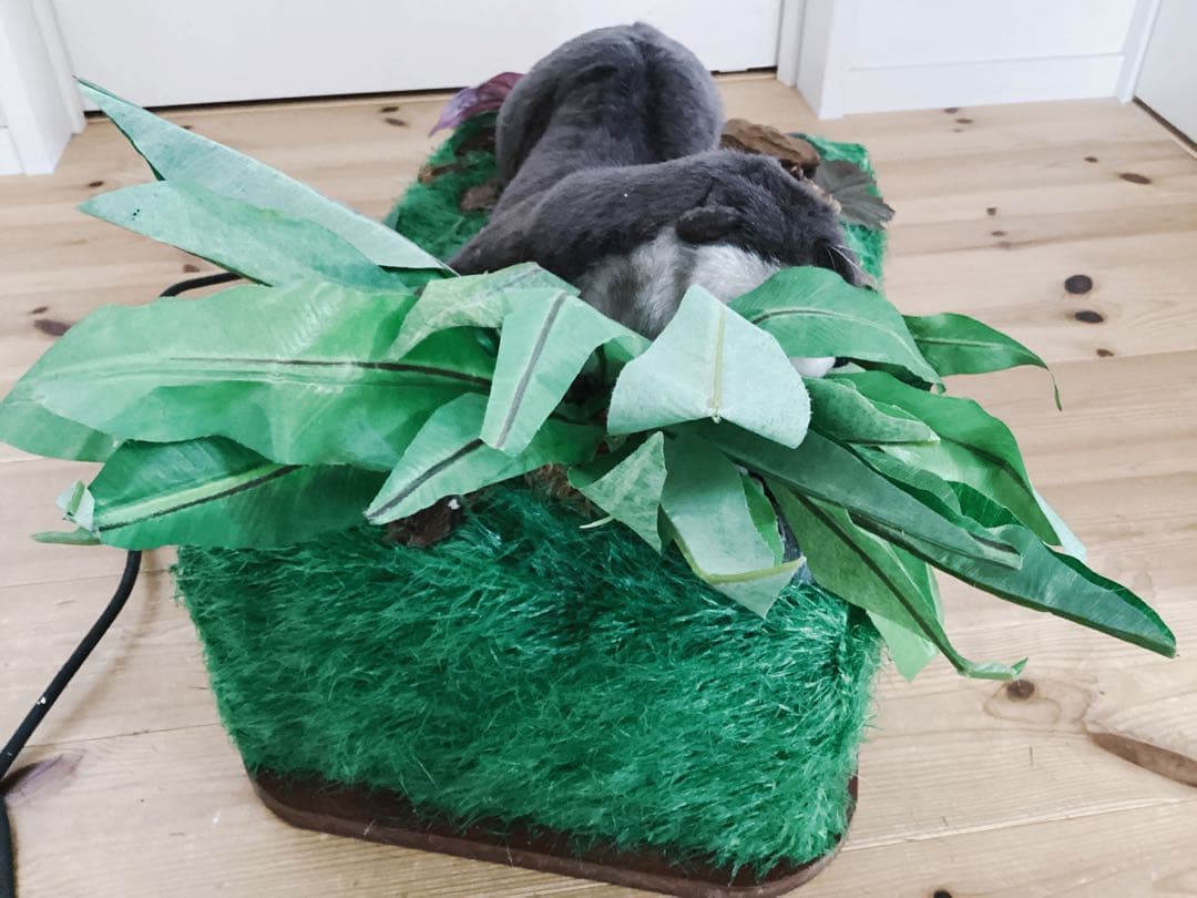 【Mamere】ディスプレイ販売品カワウソ定価209000円　※電動稼働