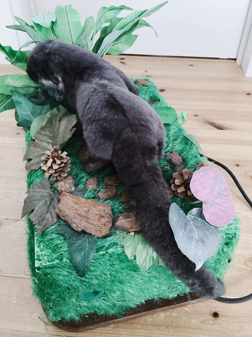 【Mamere】ディスプレイ販売品カワウソ定価209000円　※電動稼働