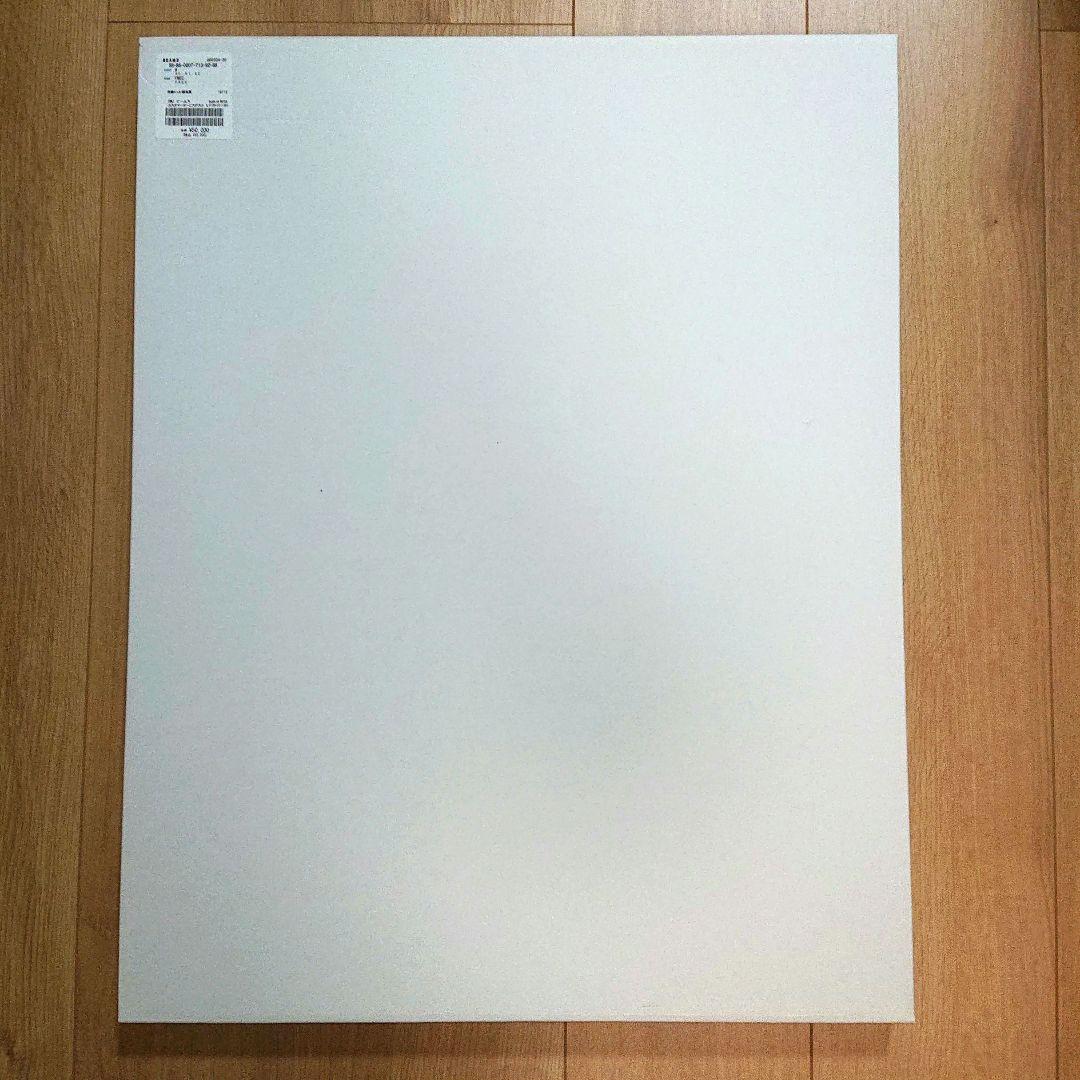 武藤敬司＊日刊 額写真 直筆サイン入り⑤