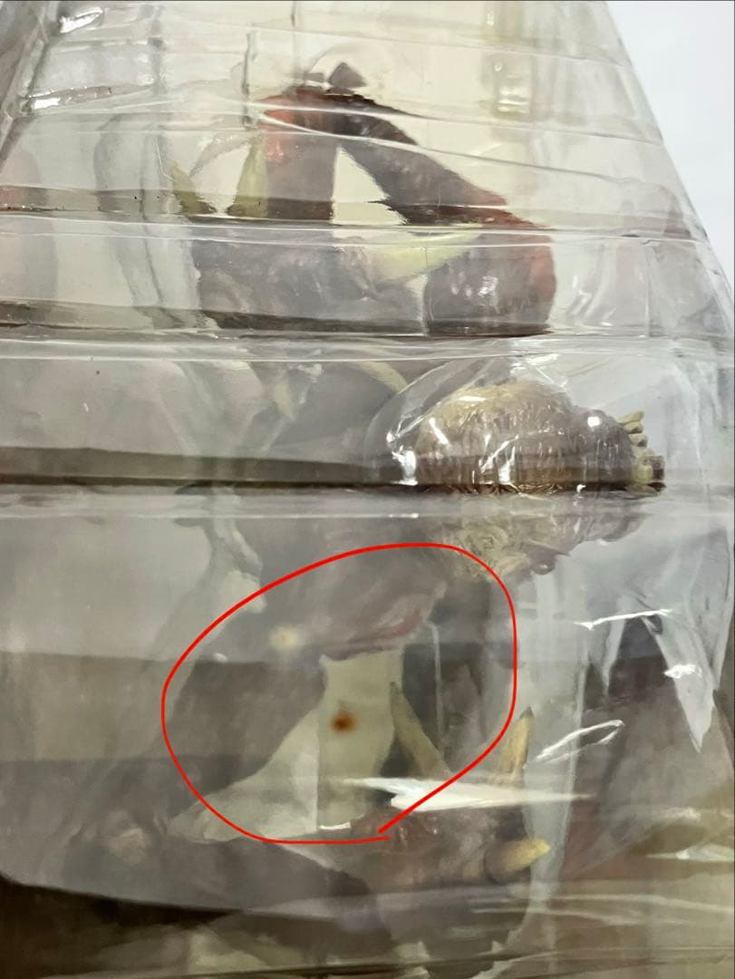 バイオハザード　リッカー　モビーディック リアルショック アクション フィギュア