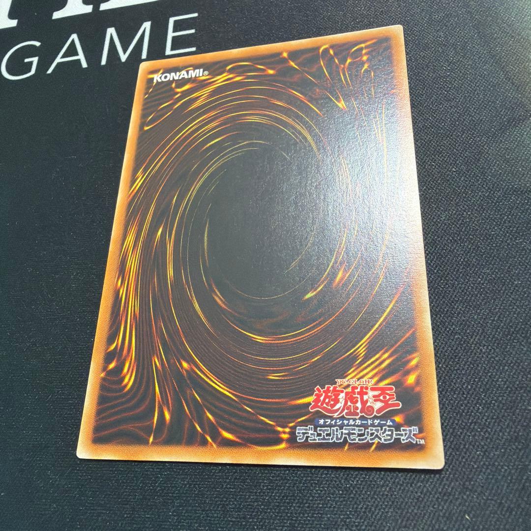【極美品】ブラック・パラディン ブラックパラディン レリーフ 303-051