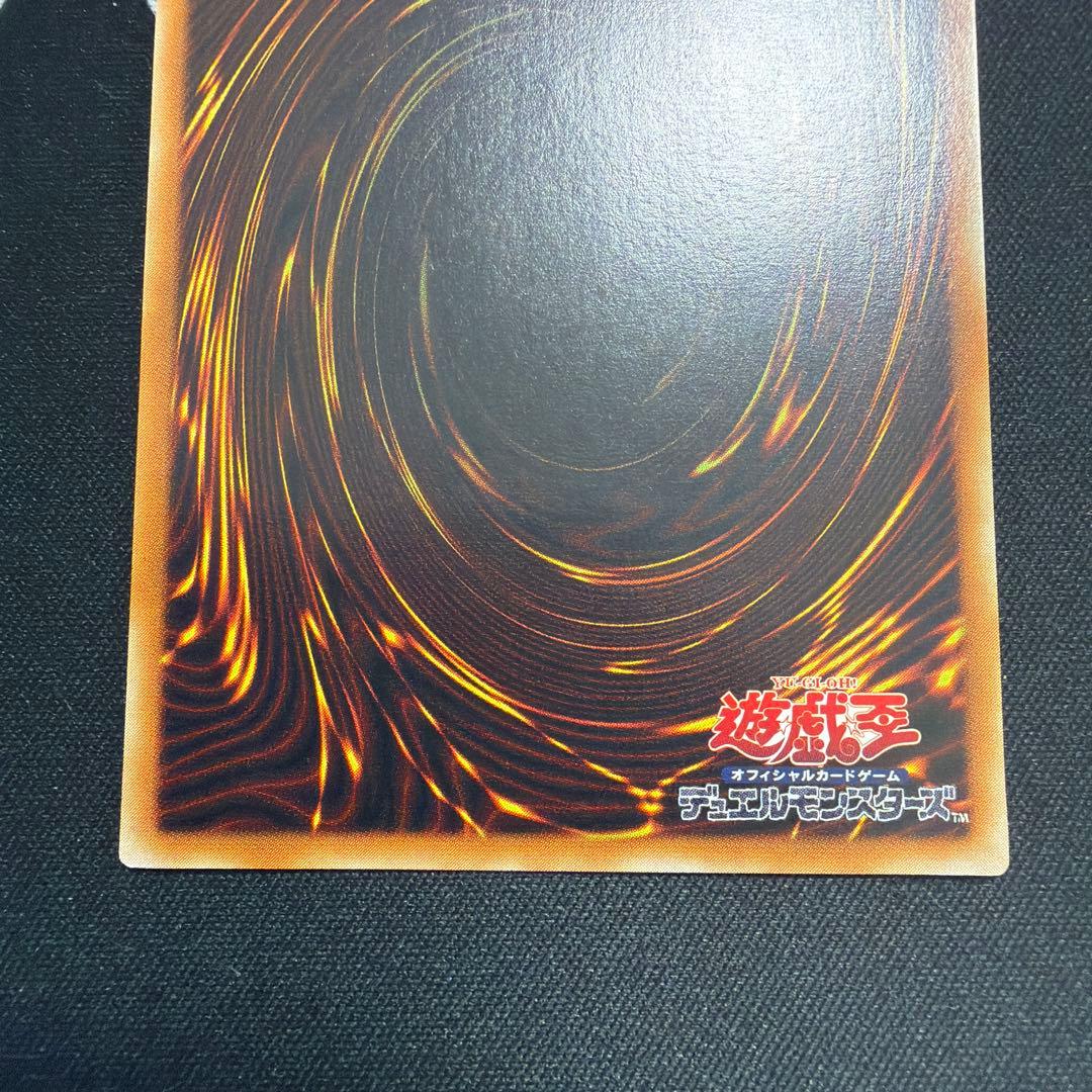 【極美品】ブラック・パラディン ブラックパラディン レリーフ 303-051
