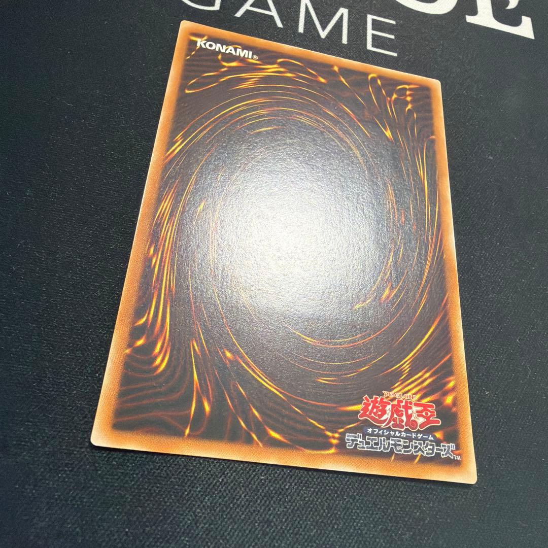 【極美品】ブラック・パラディン ブラックパラディン レリーフ 303-051