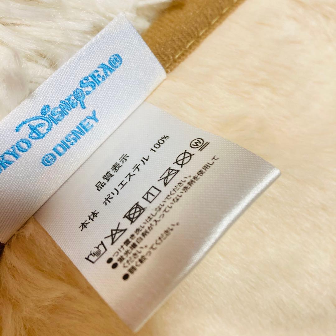 【未使用品】ディズニー ダッフィー＆フレンズ 20周年 ブランケット ケース付き