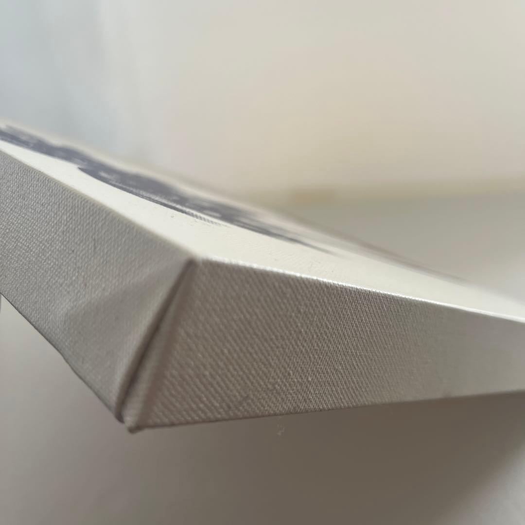 スヌーピー　ハワイ グラフィックアート　絵画