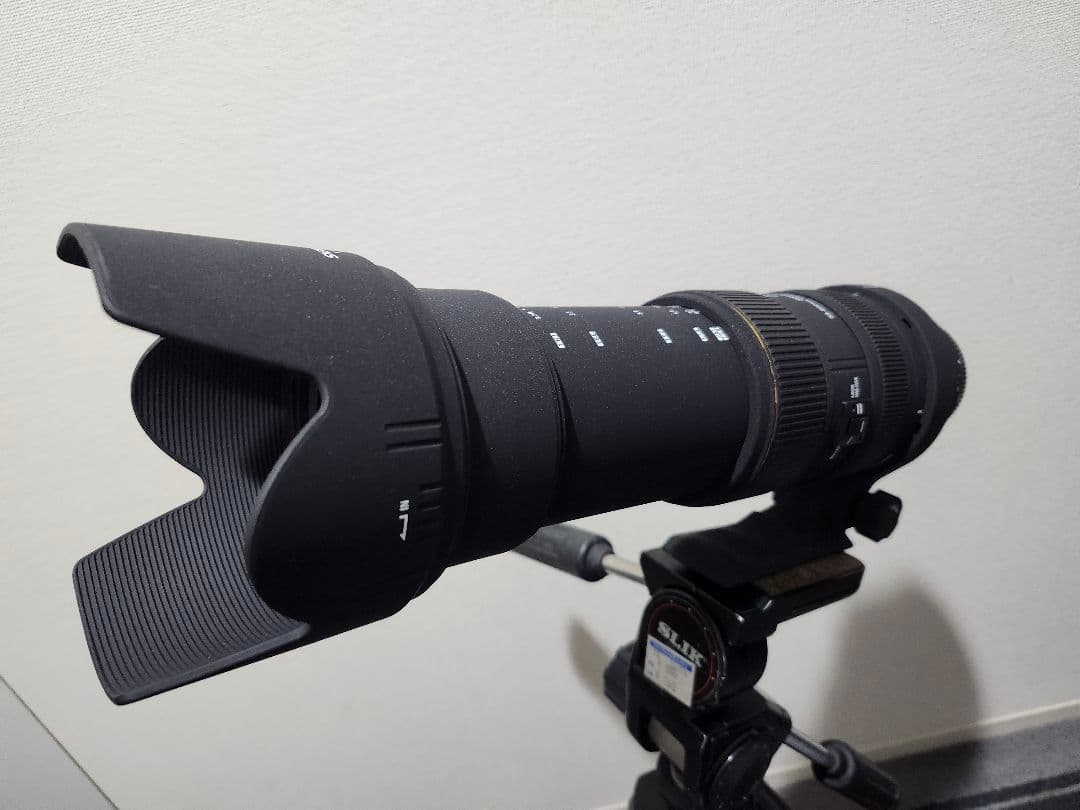 再値下げ　美品　SIGMA 50-500mm　AF不良