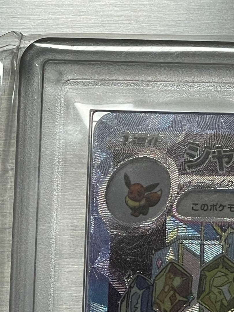 ARS鑑定10 ポケモンカードゲーム　シャワーズex SAR