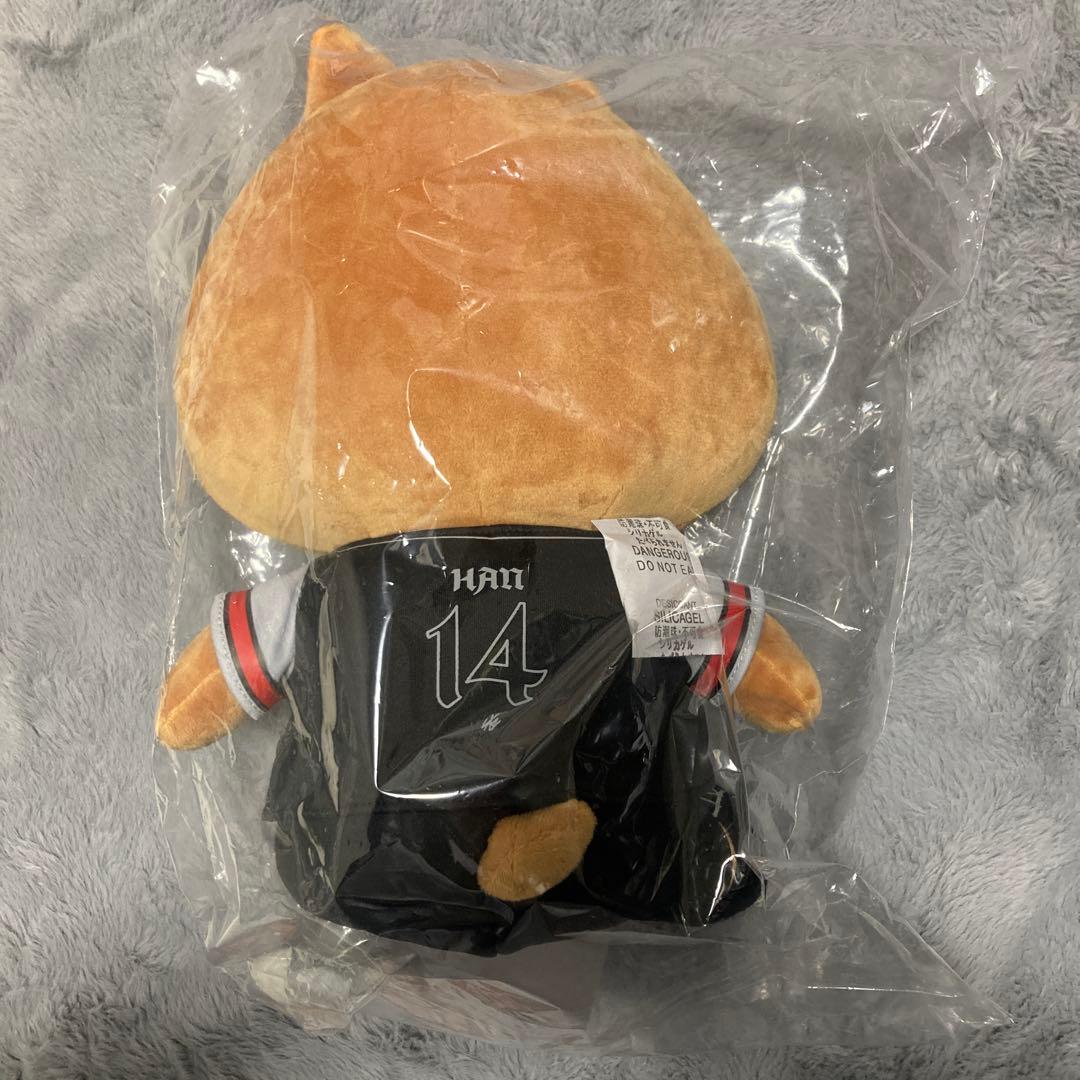 Stray Kids skzoo エコパ　ぬいぐるみ ハンクオッカ　ハン