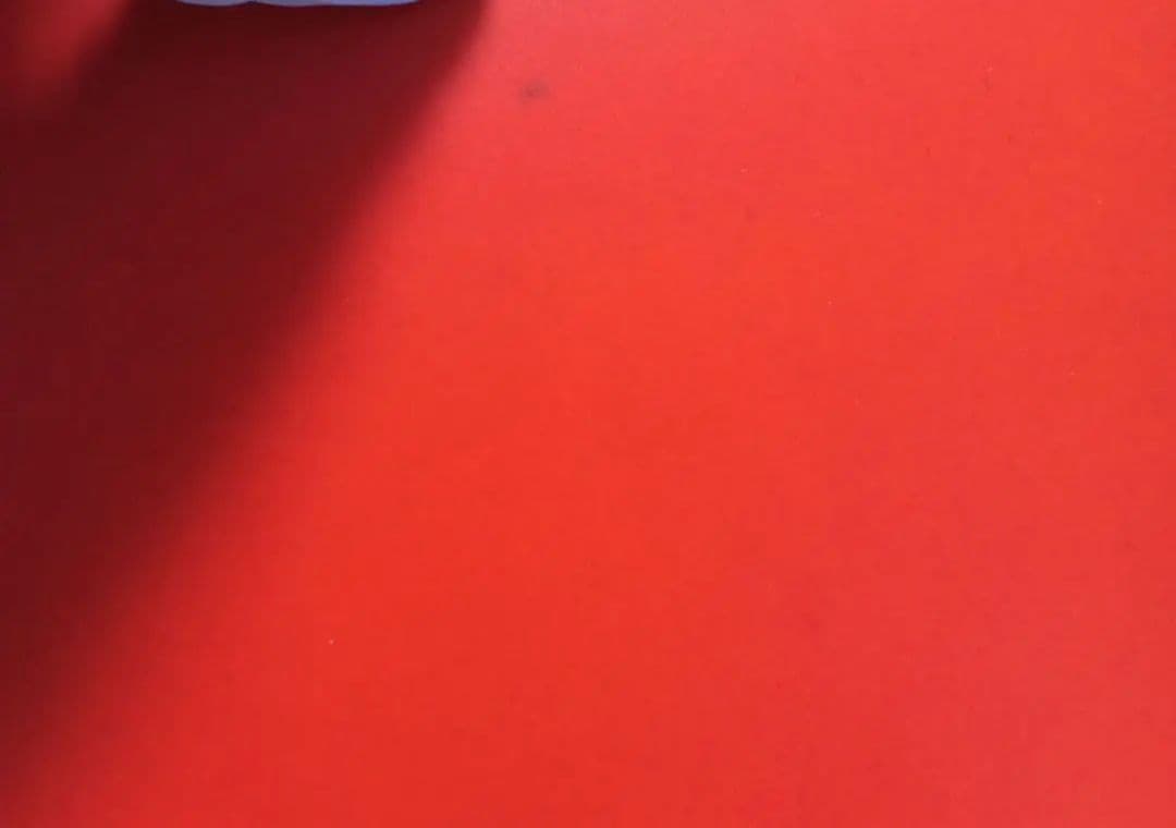 *確認用③*ディズニー　おひなさま　ひな祭り　ベルメゾン　専用ケース付き