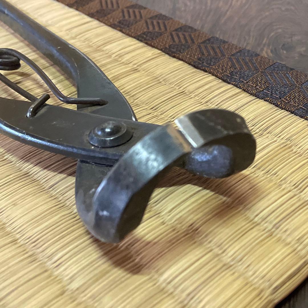 【盆栽道具】幹割鋏 倉吉式 バネ付き 止革付き・特殊L字型 200㎜【レア物】