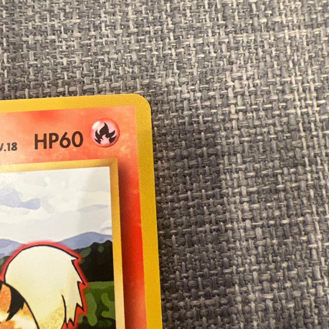 美品 旧裏　初版　ガーディ　ポケモンカード