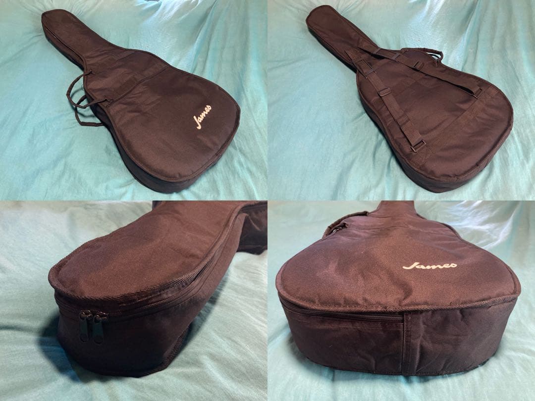 James J-300D/BLK ジェームスアコースティックギター