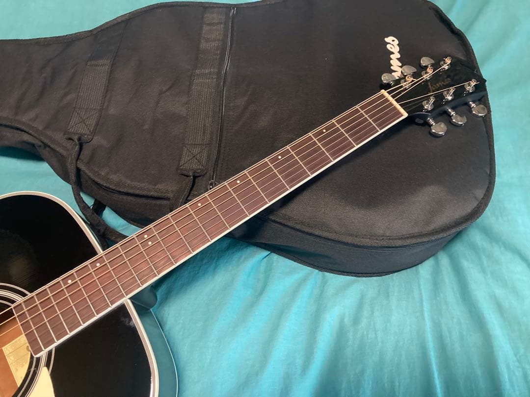 James J-300D/BLK ジェームスアコースティックギター