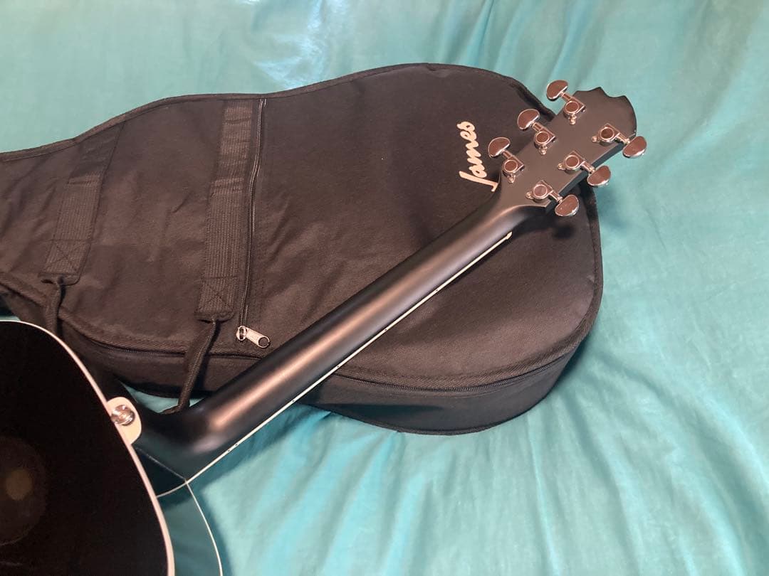 James J-300D/BLK ジェームスアコースティックギター