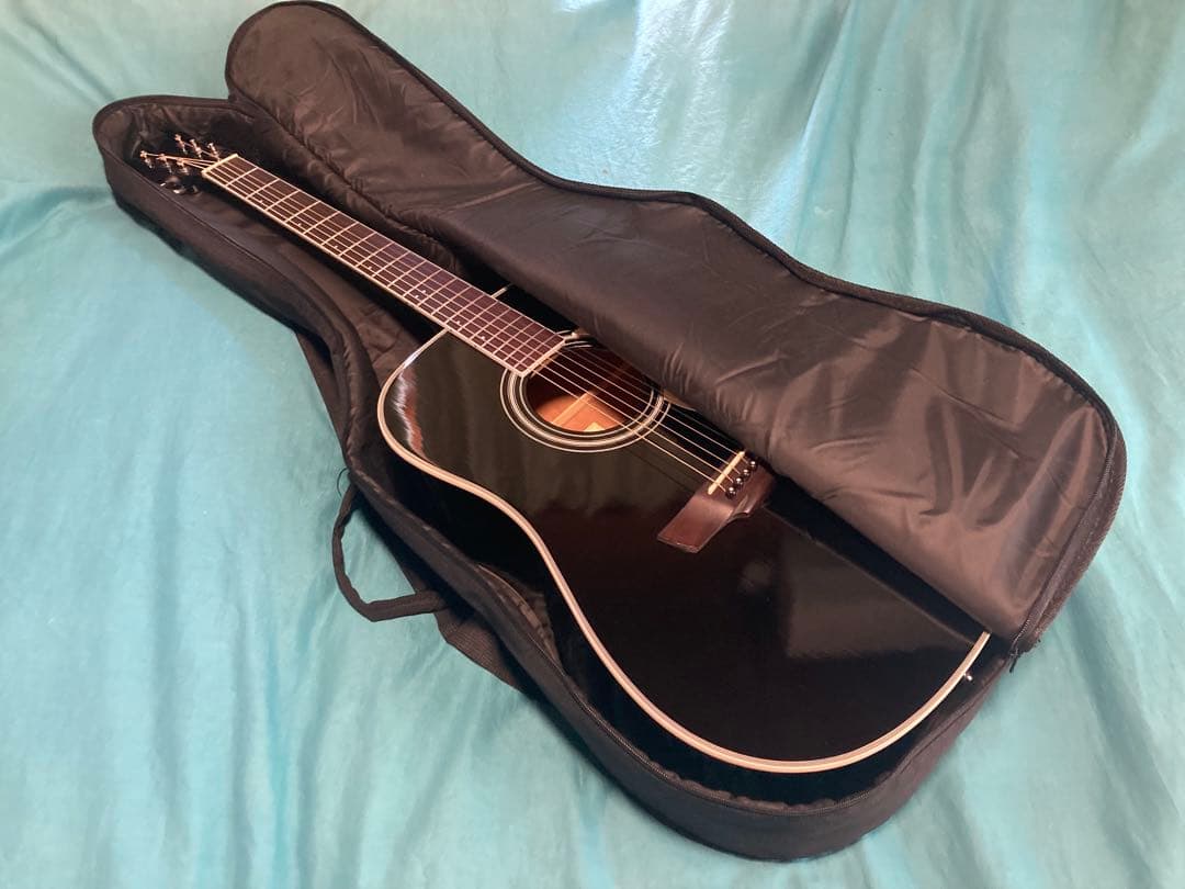 James J-300D/BLK ジェームスアコースティックギター