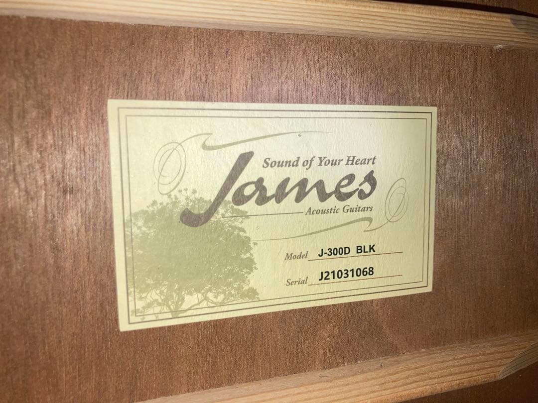 James J-300D/BLK ジェームスアコースティックギター