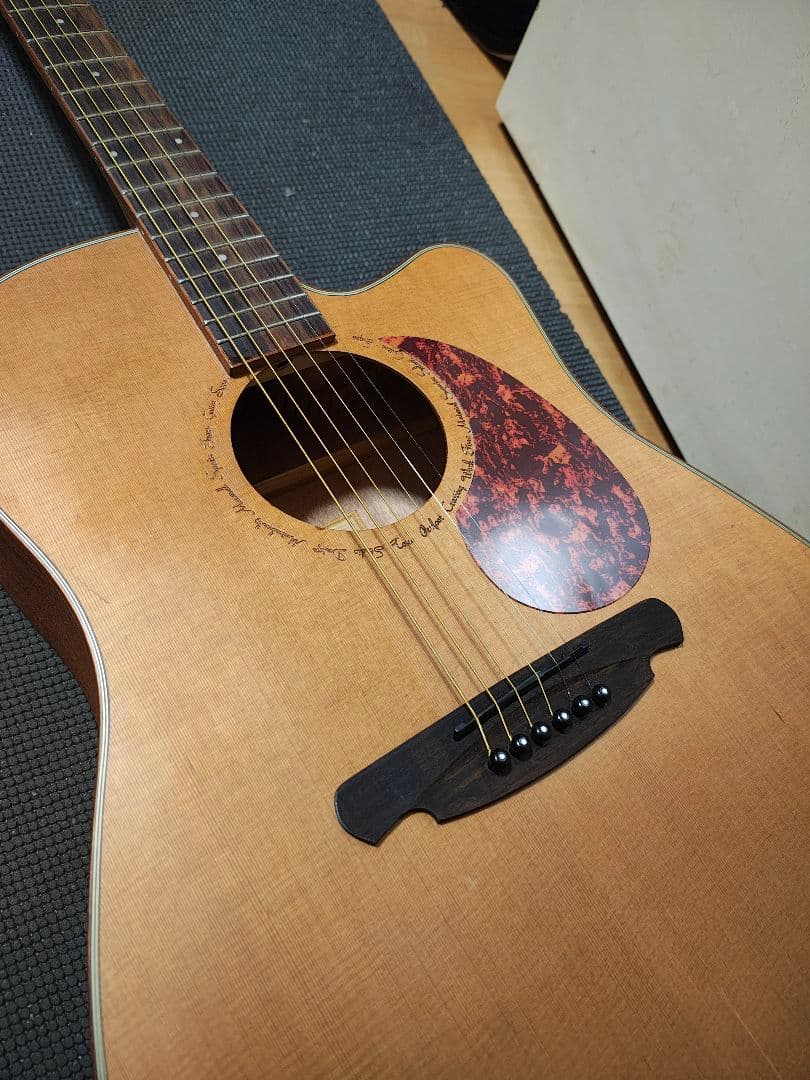 SQOE SQ-BC珍品アコースティックギター/ハードケース