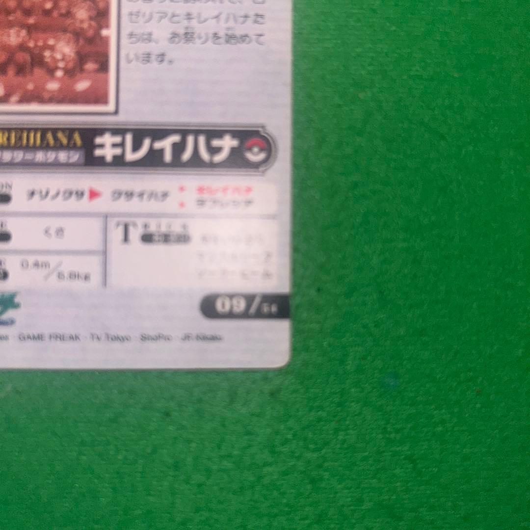 the pokemon weekly キレイハナ