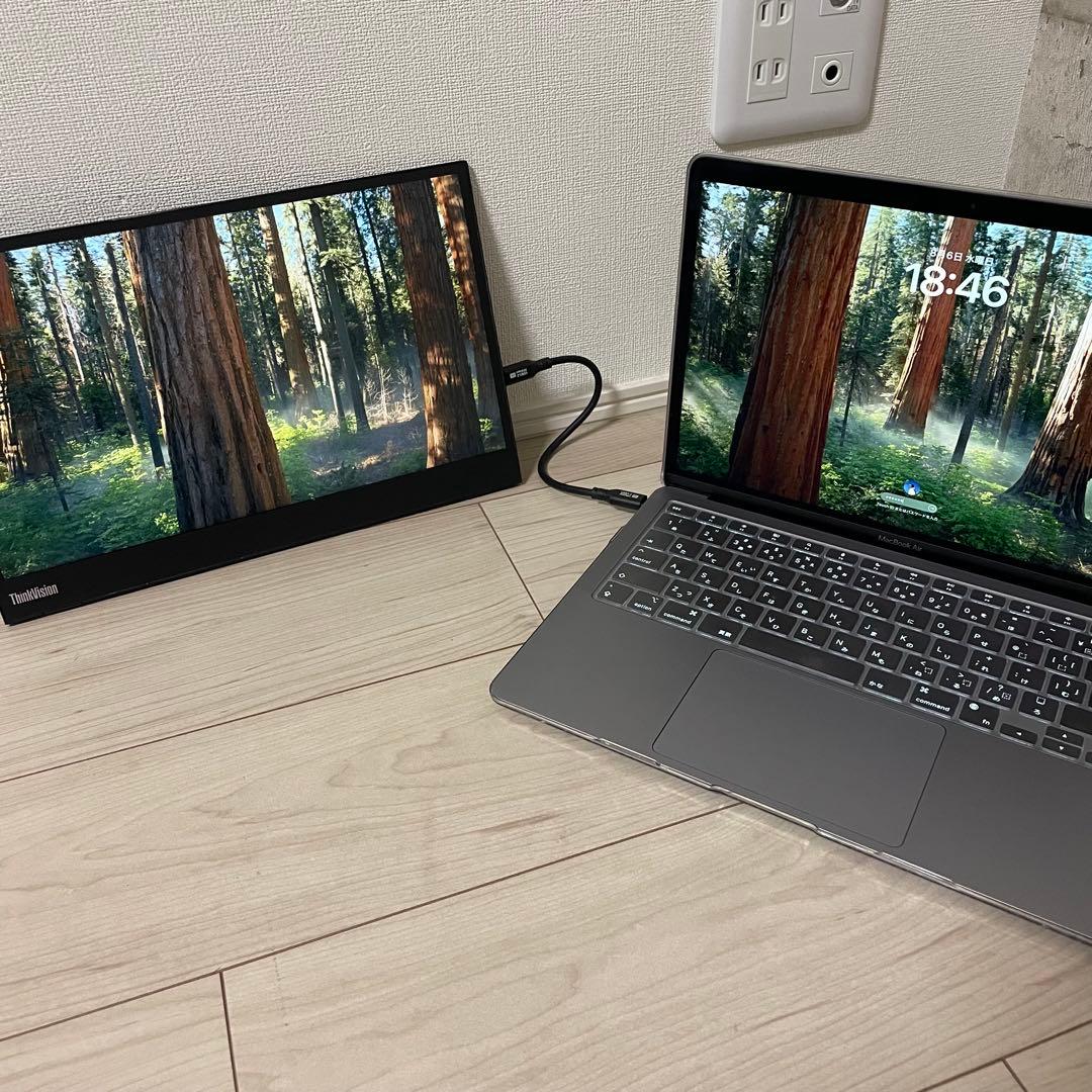 Lenovo ThinkVision M14 LCDモニター 本体