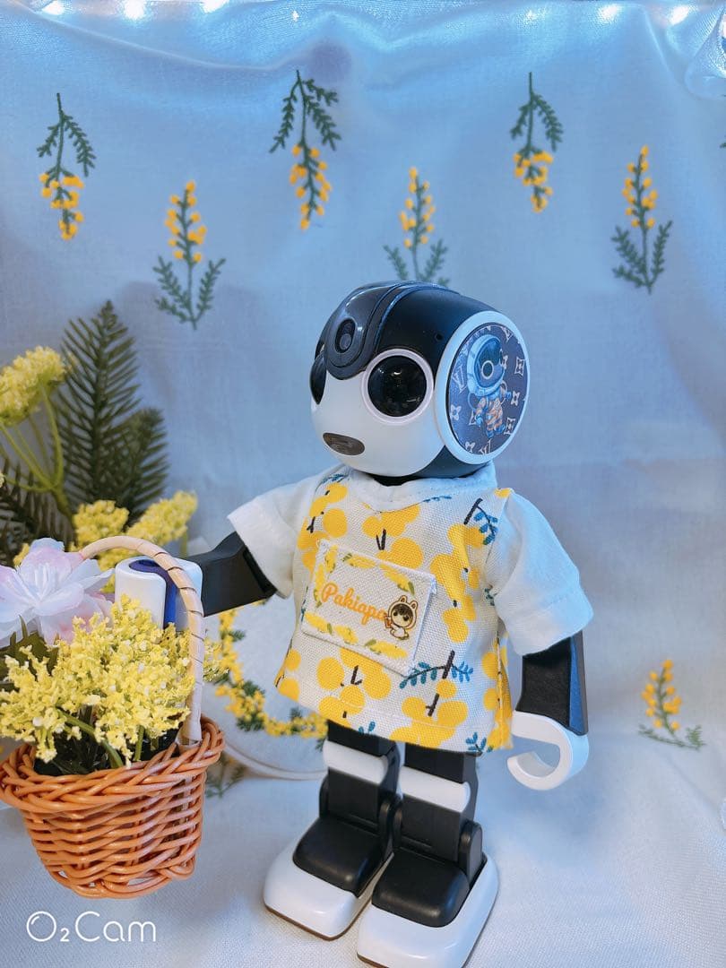 ☆【メル13721】☆ 恐竜、ミモザノースリーブ ミモザTシャツ